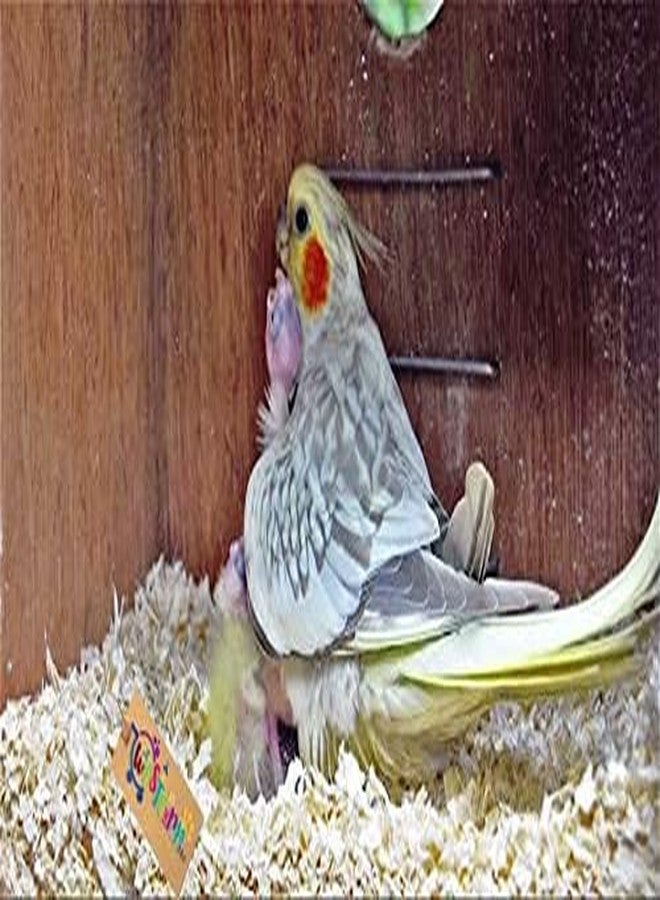 Western Era Hamster Wood Shaving, Ultimate Bedding Solution, Tiny Paws, Fresh Play for Birds, Hamster, Mice, Gerbil, Rabbit and Guinea Pig (500grm) - Image 1